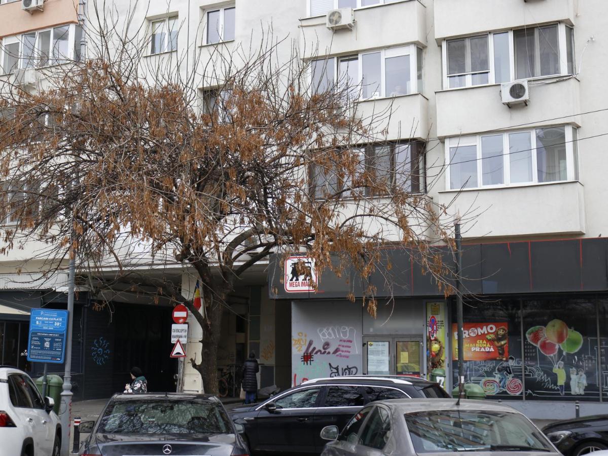 Mina City Center Apartment Amzei Bucareste Exterior foto